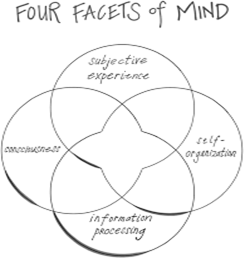 Four facets are subjective experience, self-organisation, information processing and consciousness. Shown as four interlocking circles.