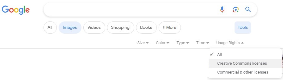 Google Images Tools options.