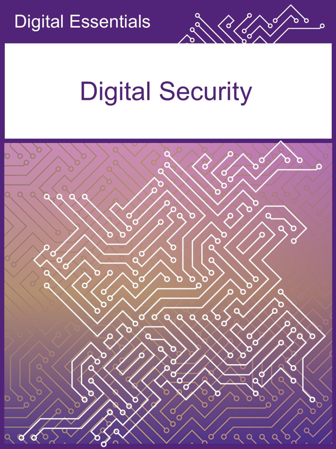 Cover image for Digital Security