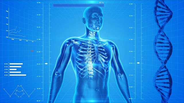 Human skeleton, double helix, graph on blue background