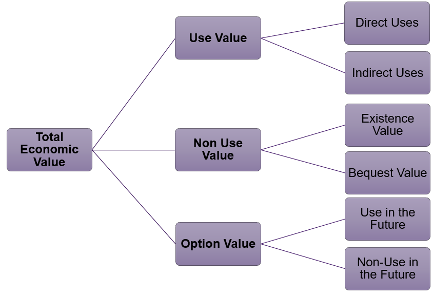 The components of total economic value represented by a tree diagram