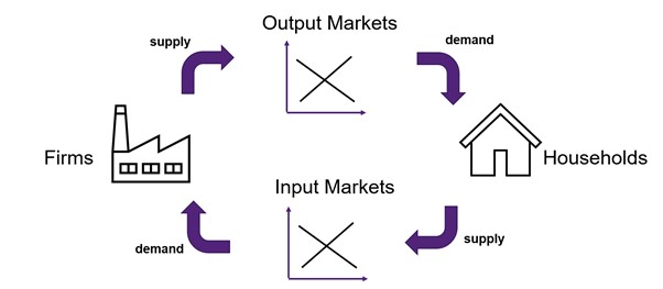 The circular flow between input and output markets with Households representing the demand for outputs and the supply of inputs. The firms represent the demand for inputs and the supply of outputs.