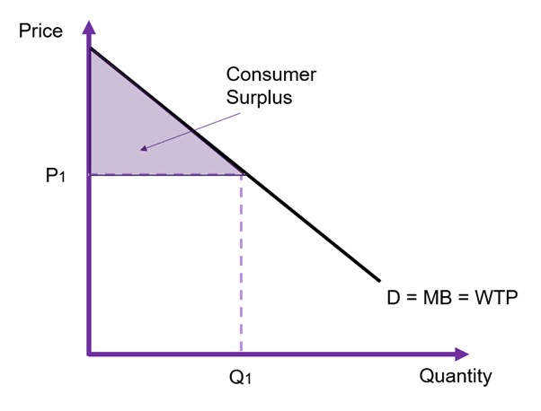 The inverse demand function with price on the x axis and the quantity on the y axis. The difference between the price paid and the demand curve is the consumer surplus.