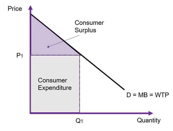 The inverse demand function with price on the x axis and the quantity on the y axis. The price paid is p1 and the quantity purchased is q1. Q1*p1 is the total consumer expenditure