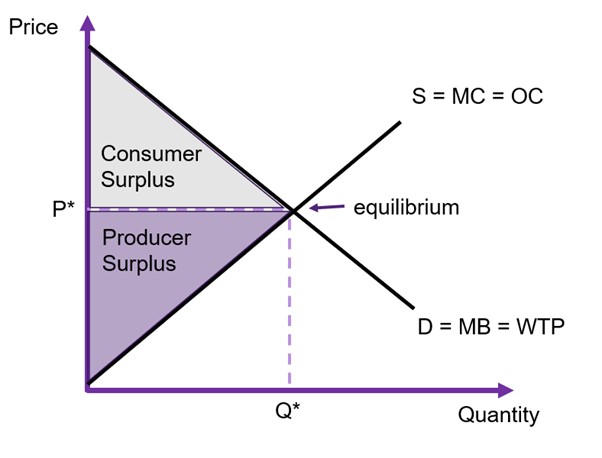 A demand curve and supply curve. the intercept is the market equilibrium where D=S. Consumer and producer surplus is maximised.