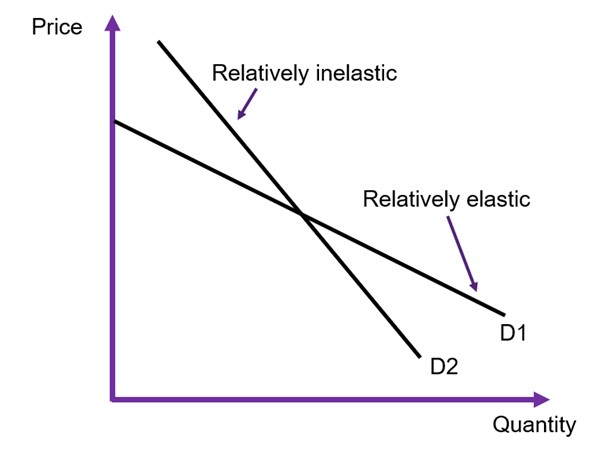 Two demand curves. The first is relatively flat implying it is relatively elastic. The second is relatively steep implying it is relatively inelastic.