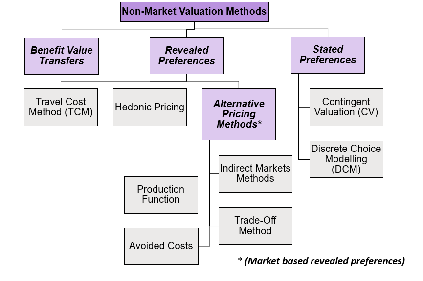 The Non-Market valuation methods separated into the sub categories: benefit value transfers, revealed preference and stated preferences. Each of these three have sub categories found below