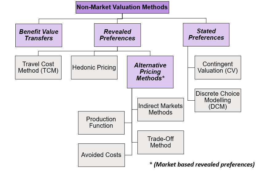 Non Market Example