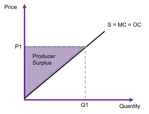 The inverse supply function with price on the x axis and the quantity on the y axis. The price paid is p1 and the quantity purchased is q1. The triangle above the supply curve between the intercept and P1 is the producer surplus