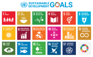The 17 sustainable development goals: GOAL 1: No Poverty, GOAL 2: Zero Hunger, GOAL 3: Good Health and Wellbeing, GOAL 4: Quality Education, GOAL 5: Gender Equality, GOAL 6: Clean Water and Sanitation, GOAL 7: Affordable and Clean Energy, GOAL 8: Decent Work and Economic Growth, GOAL 9: Industry, Innovation and Infrastructure, GOAL 10: Reduced Inequality, GOAL 11: Sustainable Cities and Communities, GOAL 12: Responsible Consumption and Production, GOAL 13: Climate Action GOAL 14: Life Below Water, GOAL 15: Life on Land, GOAL 16: Peace and Justice Strong Institutions GOAL 17: Partnerships to achieve the Goal