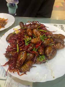 Roasted Bombyx mori silkworm pupae