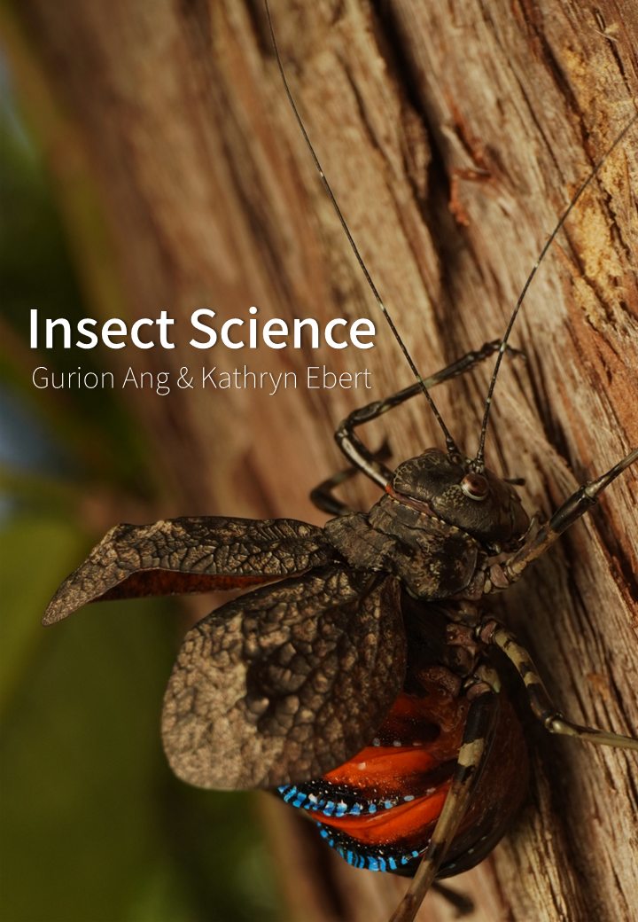 Cover image for Insect Science