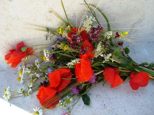 A photograph of the red remembrance poppy and other flowers collected from the battlefield, and formed into a votive bouquet for placement in a military cemetery.