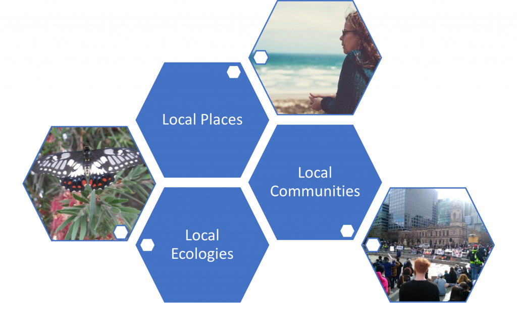 6 hexagonal shapes. A photo of a butterfly, a photo of a woman looking at the ocean, a photo of a city. The text &#039;local places&#039;, &#039;local ecologies&#039;, &#039;local communities&#039;